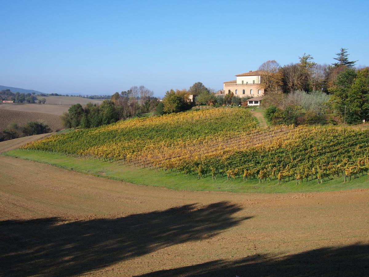 Agriturismo Poggiarellino - Монталчино Екстериор снимка