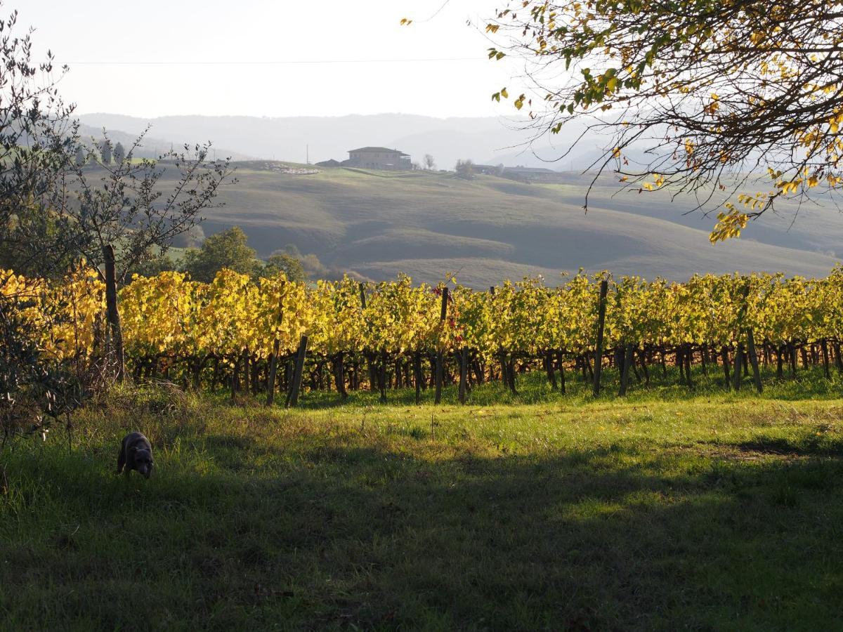 Agriturismo Poggiarellino - Монталчино Екстериор снимка