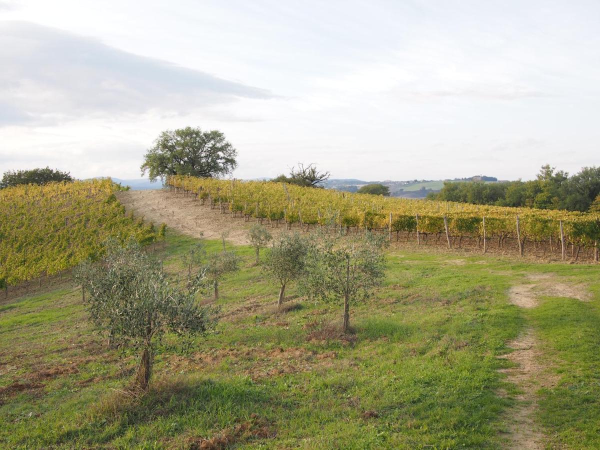 Agriturismo Poggiarellino - Монталчино Екстериор снимка